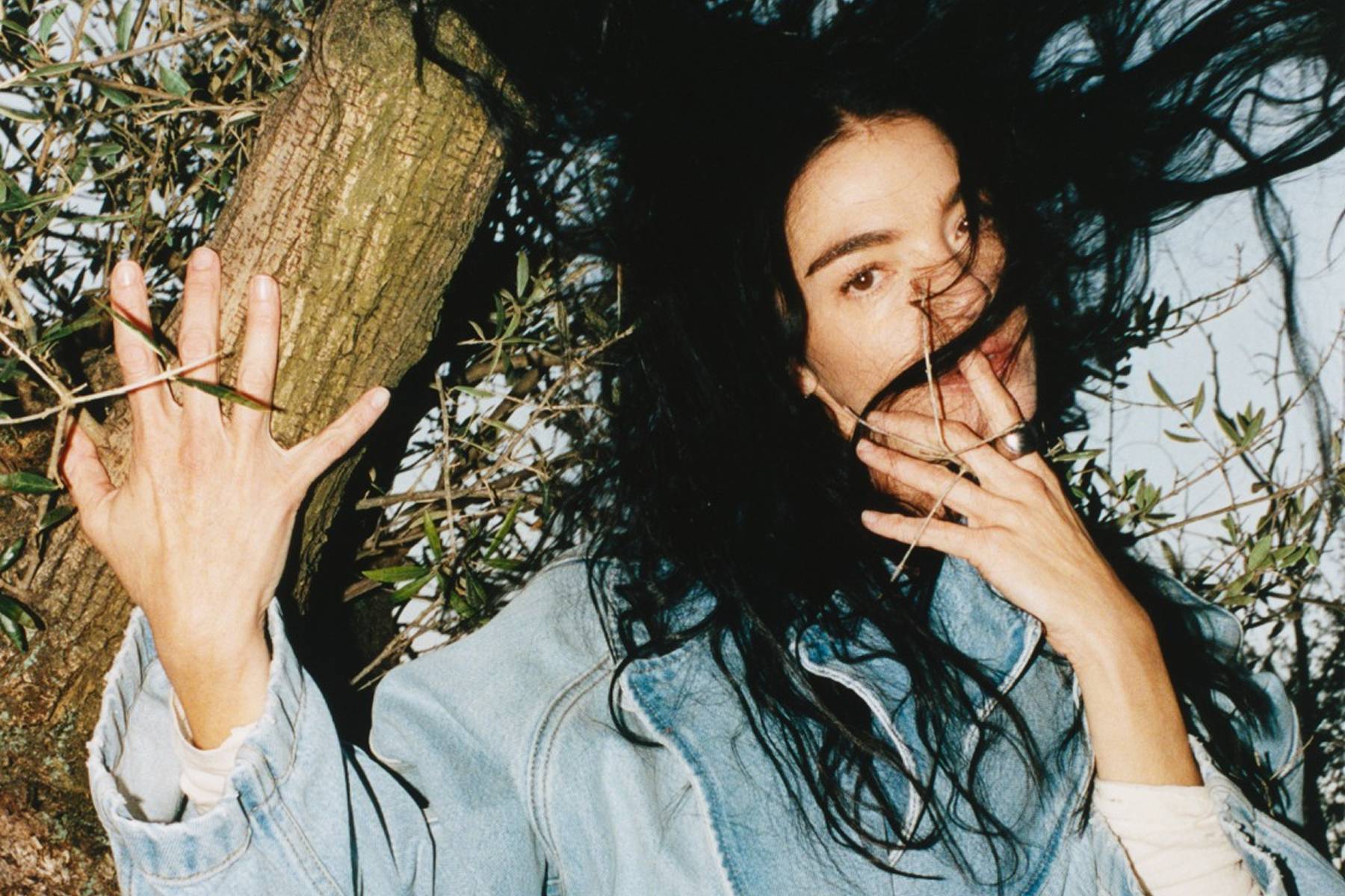 Imagem de destaque do cabeçalho da página de busca